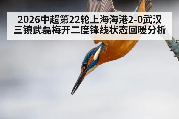 2026中超第22轮上海海港2-0武汉三镇武磊梅开二度锋线状态回暖分析